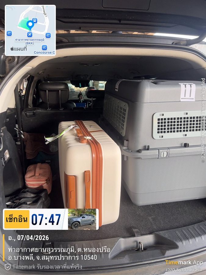 Suitcases and a pet travel crate loaded in the boot of a WayGo SUV at Suvarnabhumi Airport.